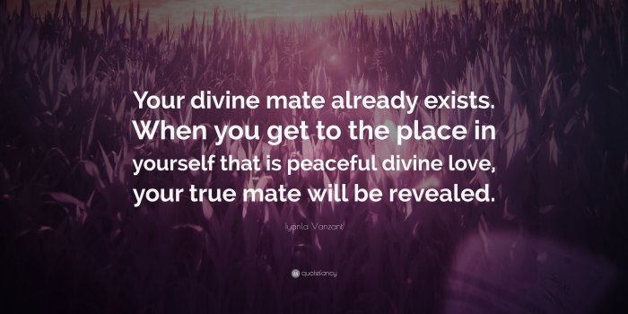3840x2160 Iyanla Vanzant Quote: “Your divine mate already exists. When you get