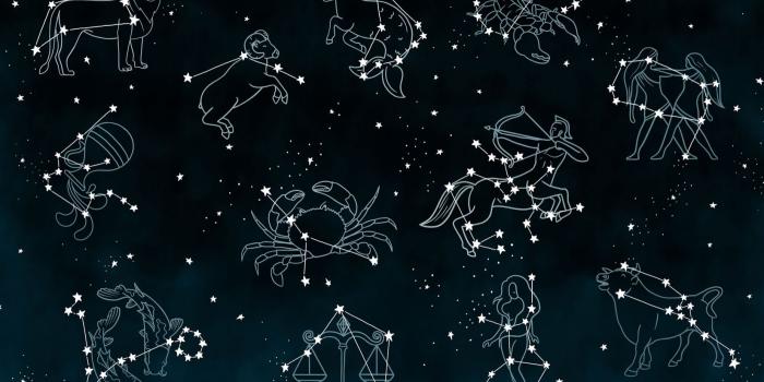 1650x1070 Horoscope Sign Wallpaper | Constellation Design | MuralsWallpaper