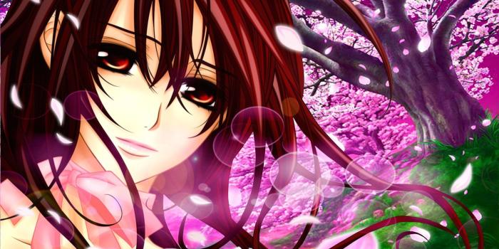 1920x1200 45 Vampire Knight HD Wallpapers | Background Images