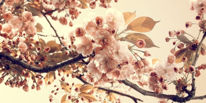 1920x1080 Vintage Wallpapers HD