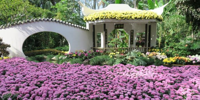 1920x1080 Chinese Garden Wallpapers - Top Free Chinese Garden Backgrounds