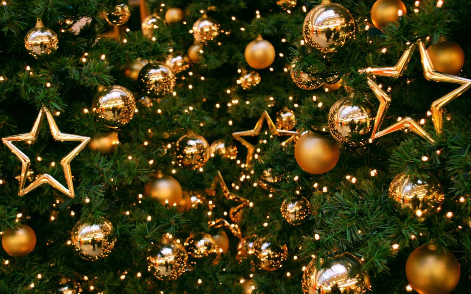 2560x1600 Best Christmas Tree Wallpaper - Christmas Tree New Year (#883155