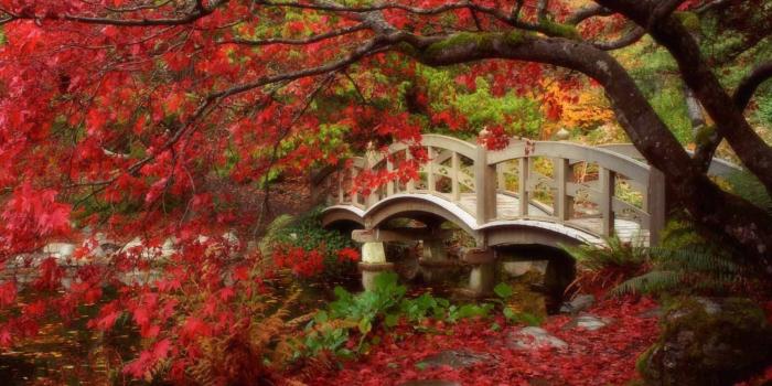 1600x1200 HD Wallpapers: Chinese Garden Wallpapers