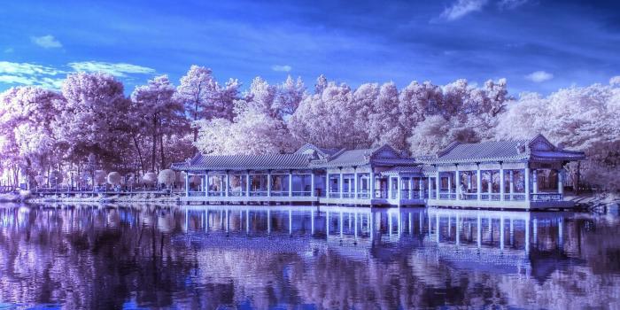 2560x1440 Chinese Garden, Singapore wallpaper - World wallpapers - #15393