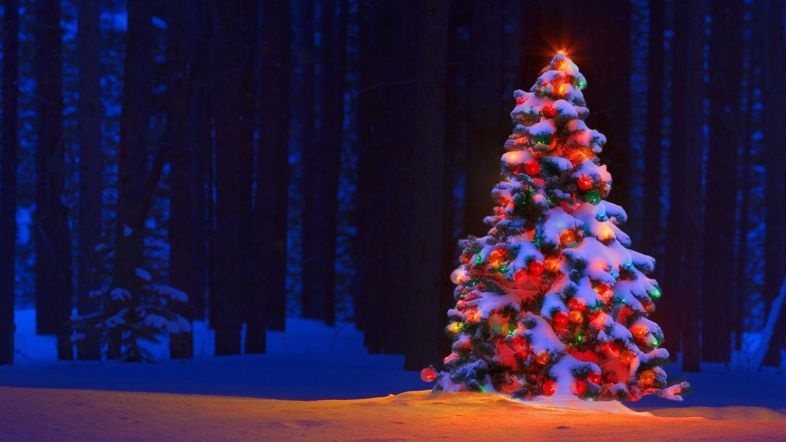 1920x1080 Christmas Tree Desktop Background (74+ images)