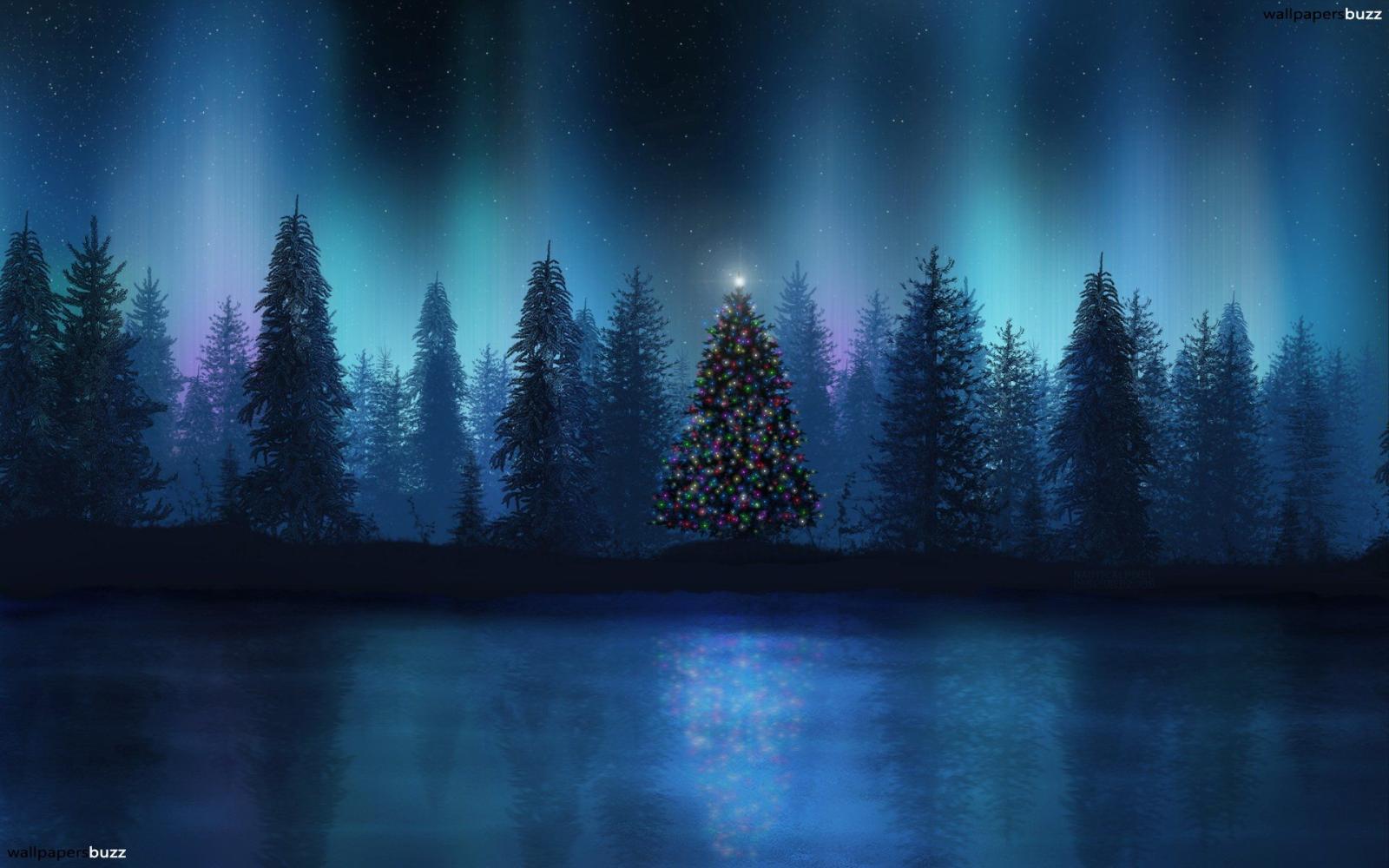 1920x1200 Christmas tree in a wood HD Wallpaper