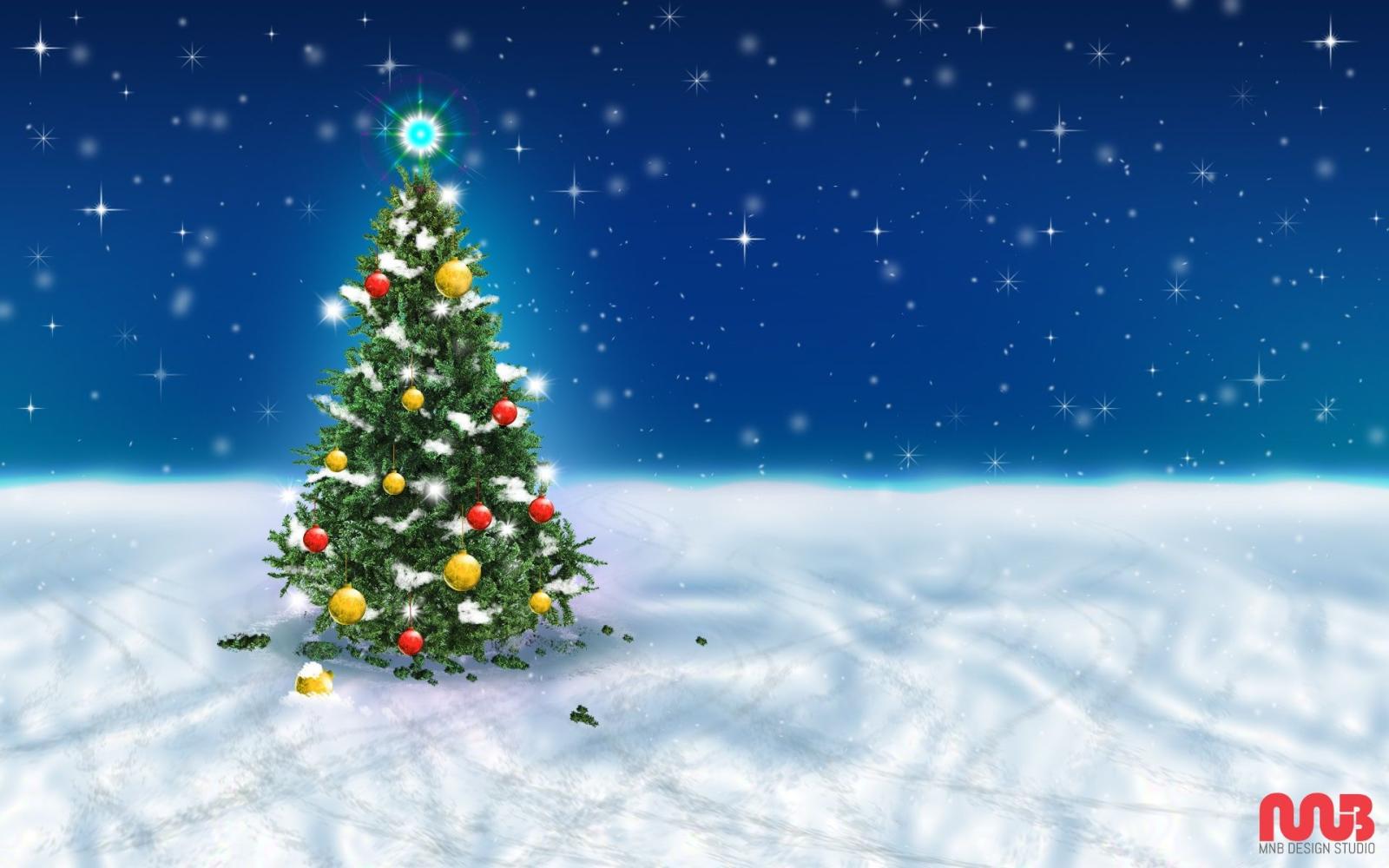 1920x1200 Christmas Tree Snow Sky Wallpapers in jpg format for free download