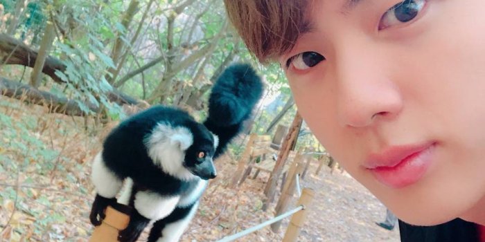 960x1280 Bts jin Wallpaper by lpurpleyoubts - 11 - Free on ZEDGE™