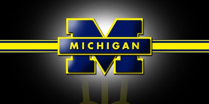 1646x1200 MICHIGAN WOLVERINES college football wallpaper | 1646x1200 | 593777 |  WallpaperUP