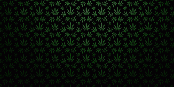 2560x1600 A place for trees related wallpapers.