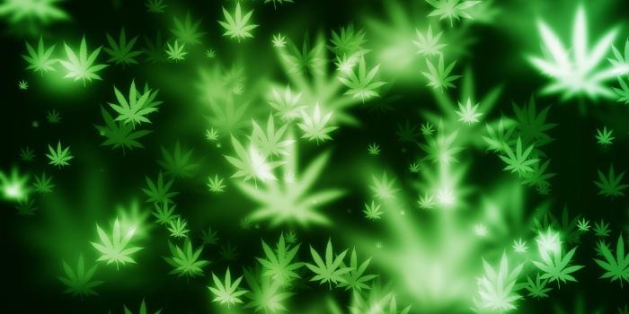 1920x1080 Trippy Rasta Weed Wallpapers (62+ background pictures)