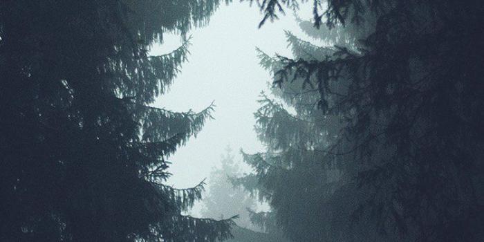 750x1334 Iphone - Iphone 7 Wallpaper 4k (#1440233) - HD Wallpaper Download