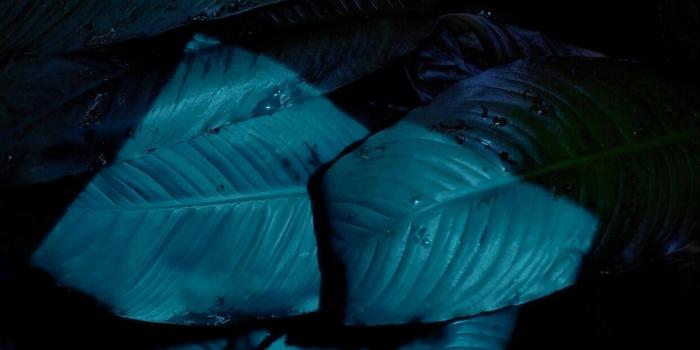 1242x2208 10+ iPhone 7 Plus 4K Wallpapers - Download at WallpaperBro