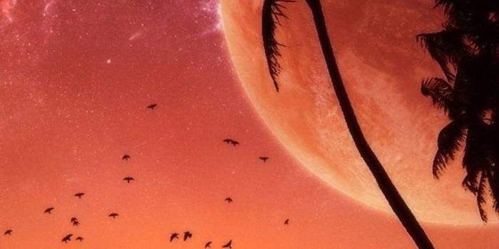 1242x2205 10+ iPhone 7 Plus 4K Wallpapers - Download at WallpaperBro