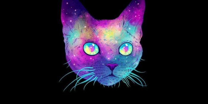 1080x1920 Andrew on Dope Smartphone Wallpapers in 2019 | Tumblr iphone