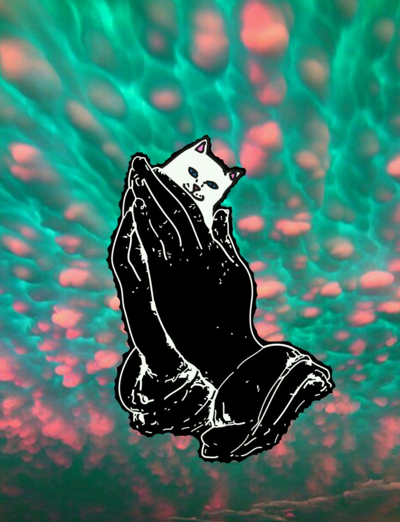 1374x1792 Ripndip iphone wallpaper #ripndip #middle #finger #cat #wallpaper