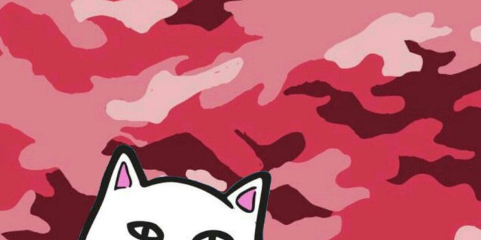 1183x1792 Ripndip iphone wallpaper #ripndip #middle #finger #cat #wallpaper