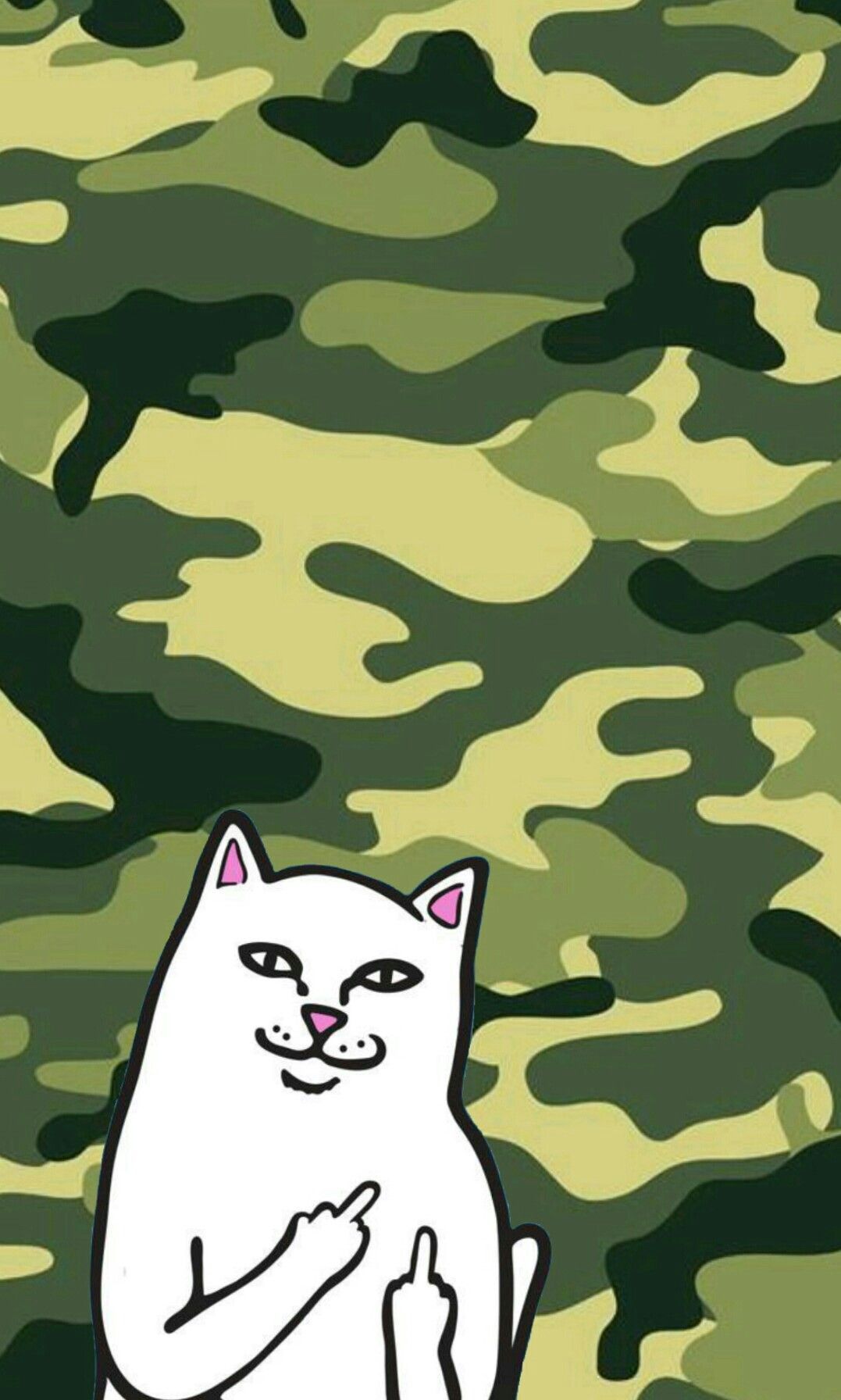 1077x1792 Ripndip iphone wallpaper #ripndip #middle #finger #cat #wallpaper