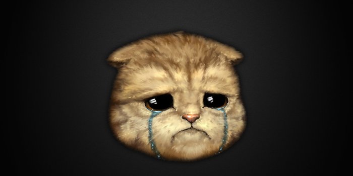 2560x1320 68+ Lirik Cat Wallpapers on WallpaperPlay