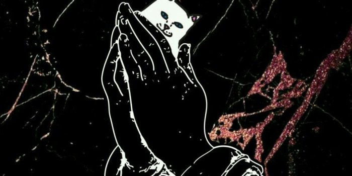 961x1792 Ripndip iphone wallpaper #ripndip #middle #finger #cat #wallpaper