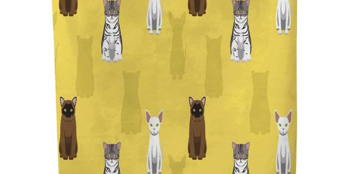 1000x1000 Amazon.com: 25 Home Decor Tapestries Cat Wallpaper 4 dope Tapestries
