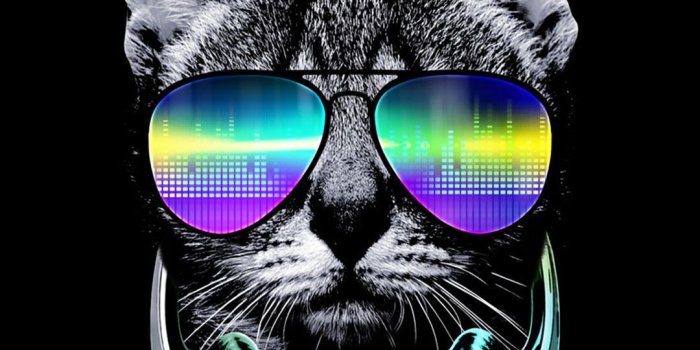 1080x1920 Detta on Dope | Cats, Cat shirts, Cat stickers