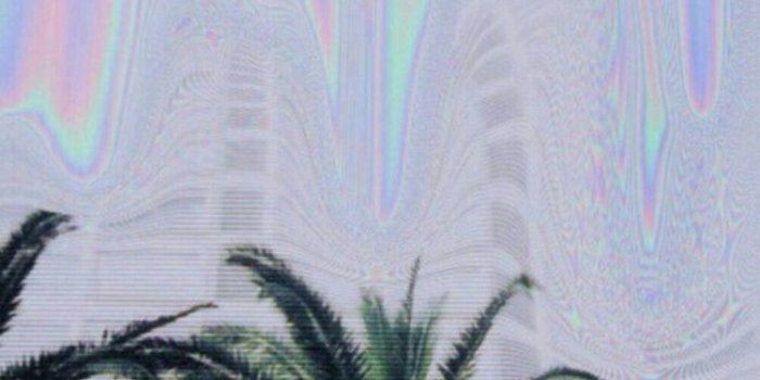 750x1335 Wallpaper | Middle-Finger Cat | aesthetics, covers & wallpapers