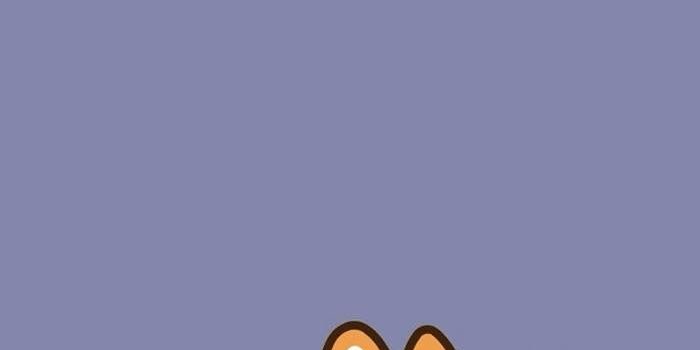 700x1244 40+ Cute Cartoon Dog Wallpapers - Download at WallpaperBro