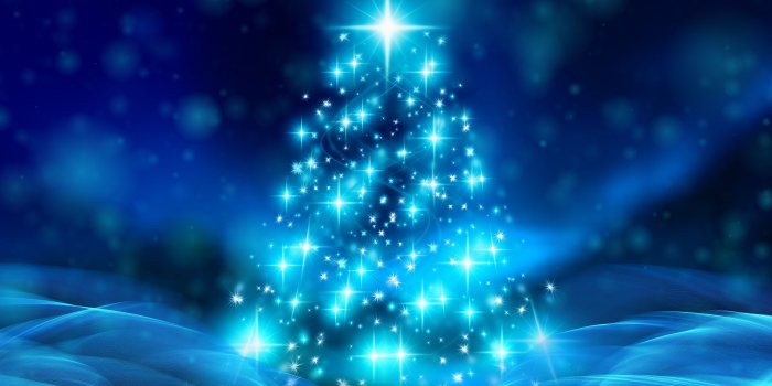 6000x4000 5050240 Christmas Tree, Blue, Christmas wallpaper and background