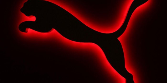 1280x1024 Puma HD Wallpapers