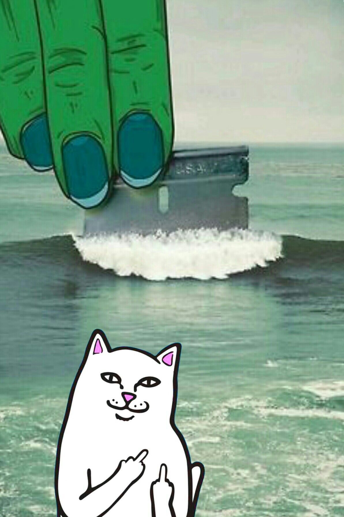 1193x1792 Ripndip iphone wallpaper #ripndip #middle #finger #cat #wallpaper