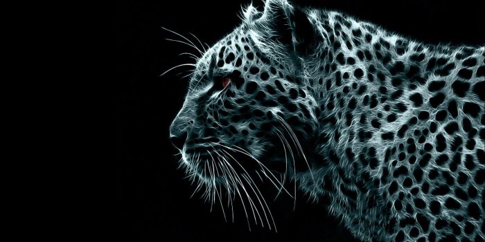 1920x1080 62+ Pumas Wallpapers on WallpaperPlay