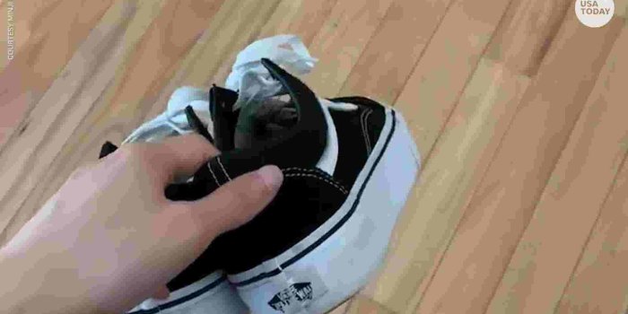 1920x1080 Why people are throwing their Vans shoes in the air