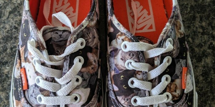 1200x1600 VANS x ASPCA Limited Edition Authentic Cat Print Women's 7.5, Men's 6
