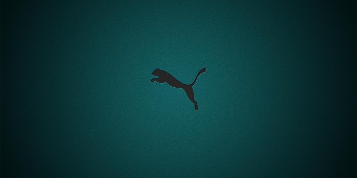 1920x1080 70+ Puma Wallpapers - Download at WallpaperBro