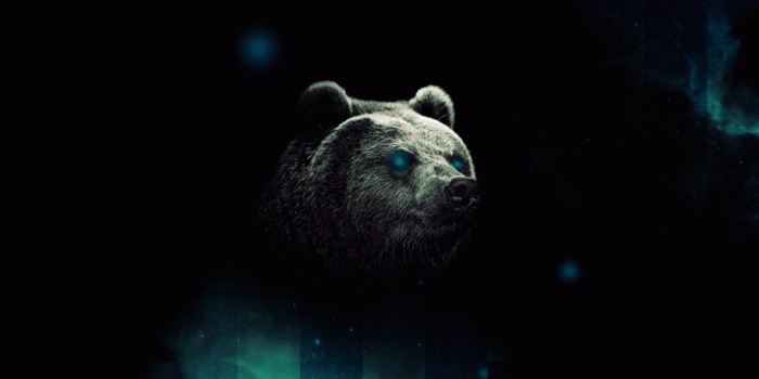 1191x670 Cool Bear Wallpaper by Tooyp : bears