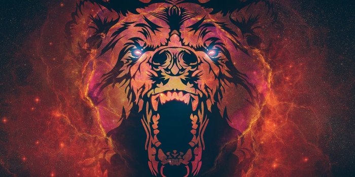 1900x1200 Bear Wallpaper and Background Image | 1900x1200 | ID:386979