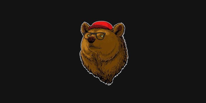 1440x1280 Cool Bear Wallpaper by __KoniG__ - b1 - Free on ZEDGE™