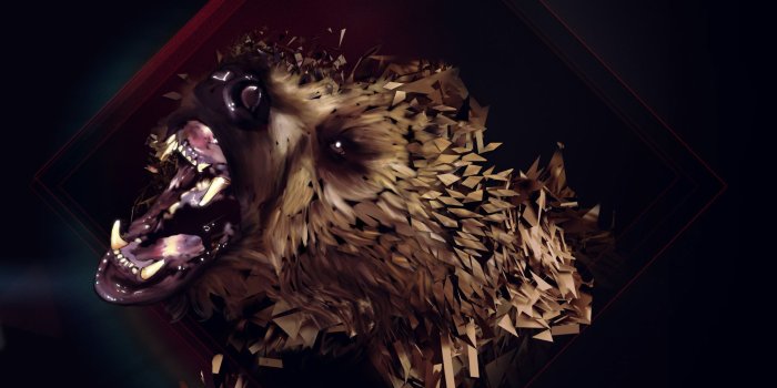 1920x1200 40+] Grizzly Bear HD Wallpaper on WallpaperSafari
