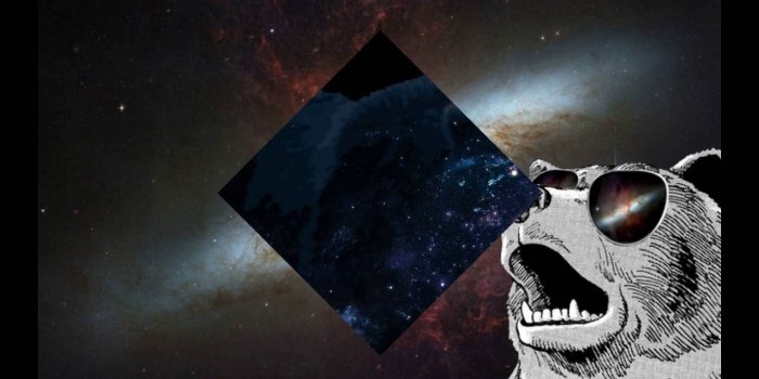 1280x720 cool bear wallpaper
