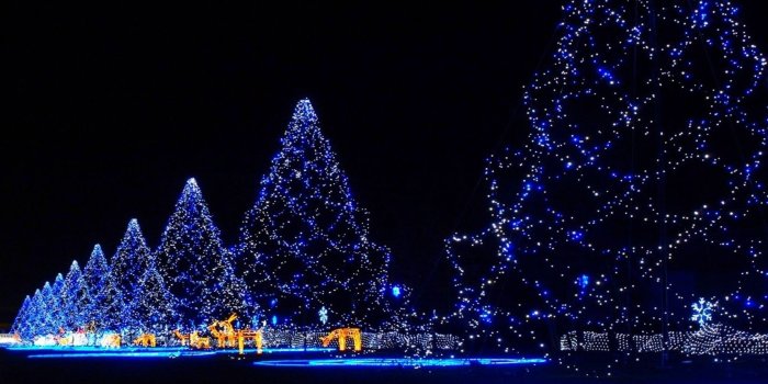 1680x1050 Christmas Wallpaper 21 - HDWPro