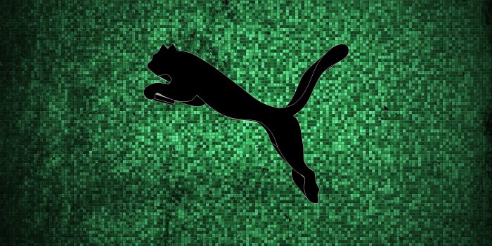 3840x2400 Puma wallpapers Gallery