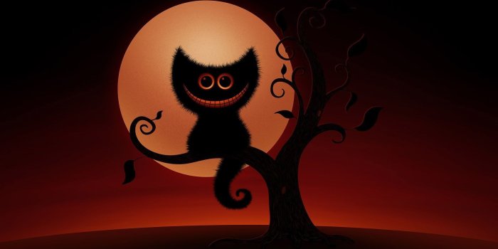 1920x1200 Halloween Cat Wallpaper ·① WallpaperTag
