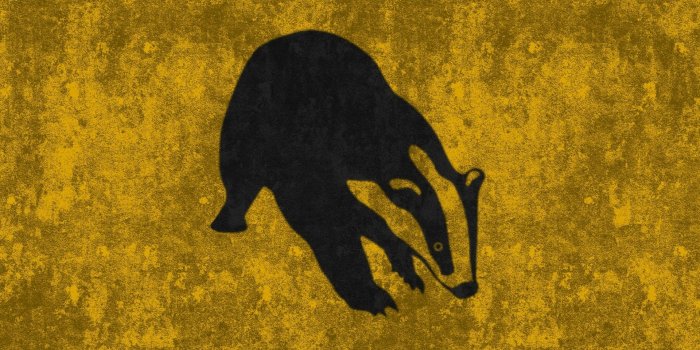 1920x1080 Hufflepuff Wallpaper - Helga Hufflepuff (#285335) - HD Wallpaper