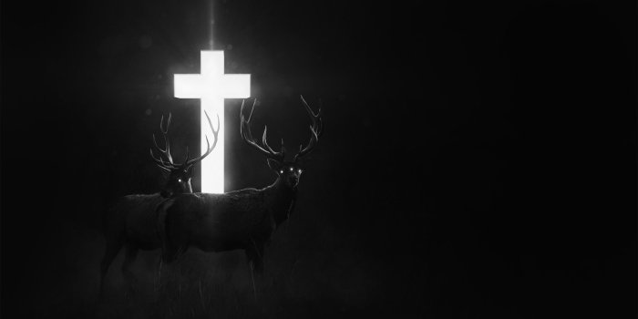 2560x1440 2965860 cross dark deer fantasy art digital art wallpaper and