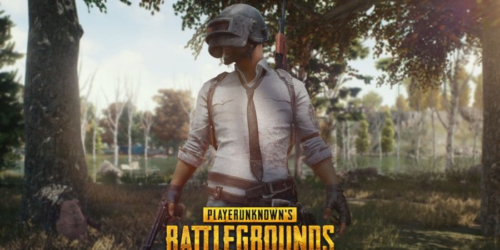 2560x1440 Download 2560x1440 wallpaper pubg, forest theme, mobile game, helmet