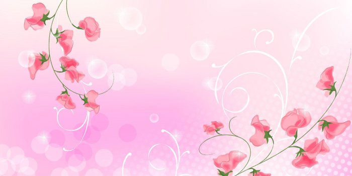 1920x1200 Light Pink Flower Wallpapers