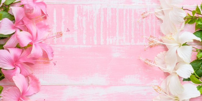 1332x850 Wallpaper flowers, background, pink, wood, pink, flowers images for