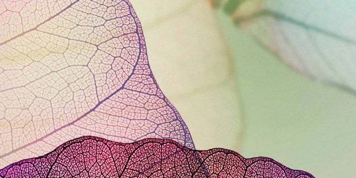 1080x2280 1080x2280 Background HD Wallpaper - 023