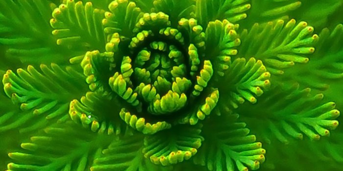 1080x1920 Vivo Wallpaper Full Hd - (59++ Image Collections)